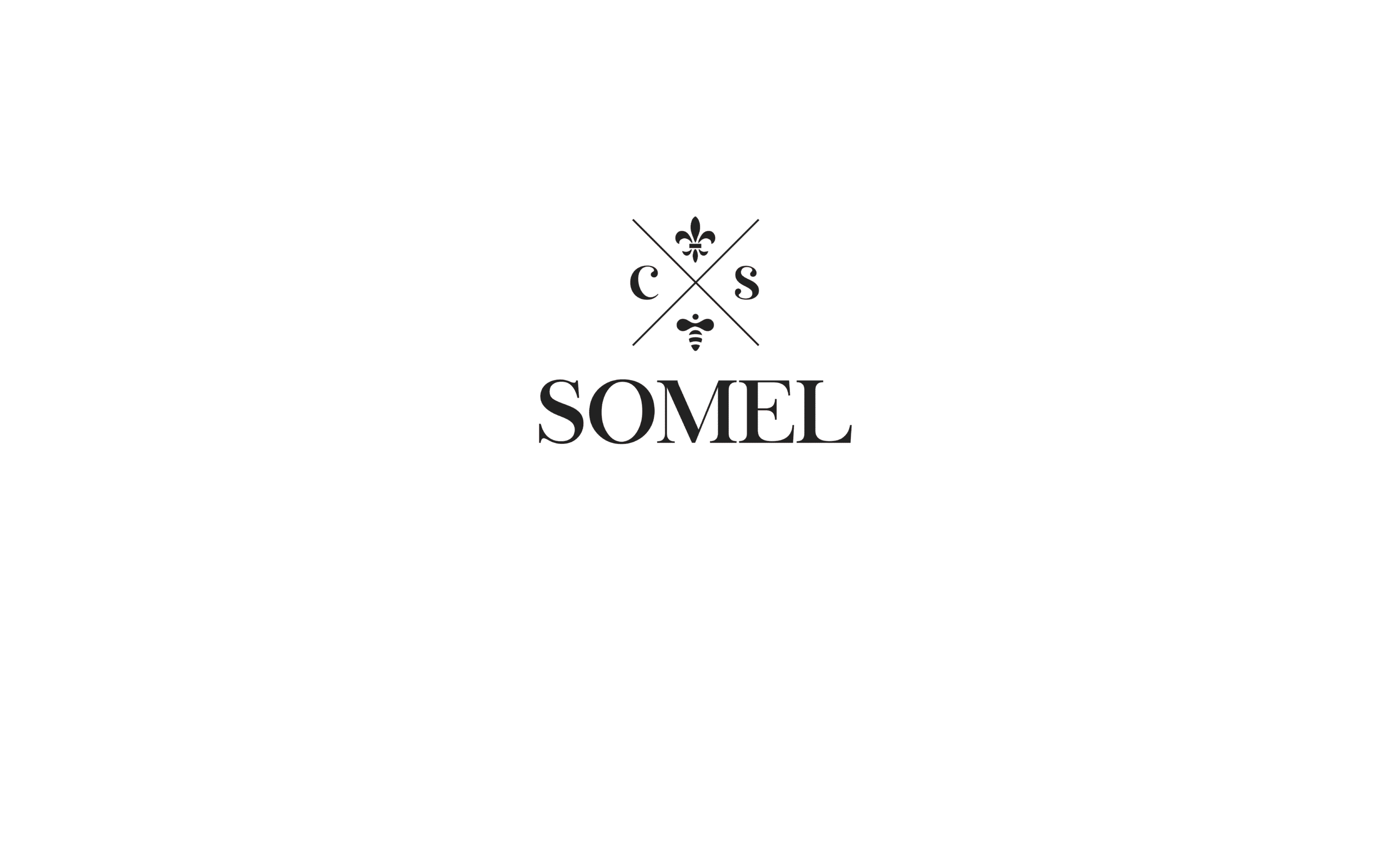 logo main